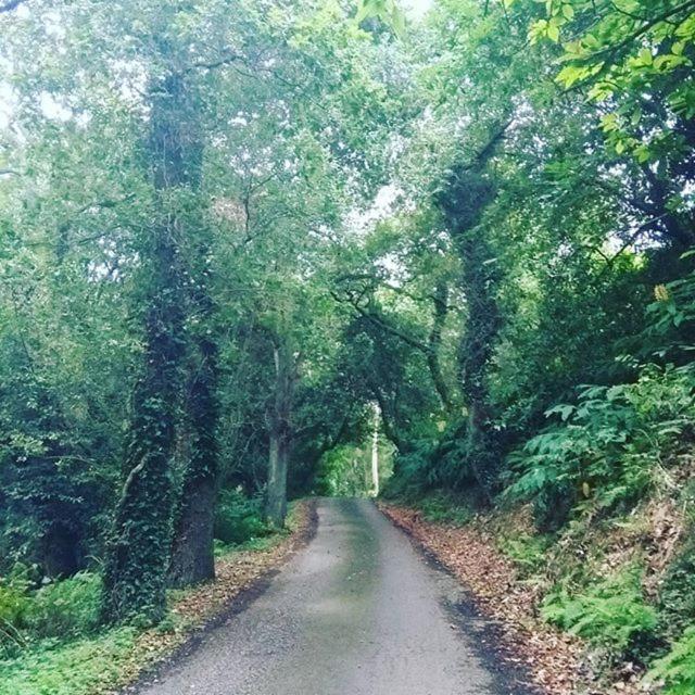 Somavilla Cantabria 外观 照片